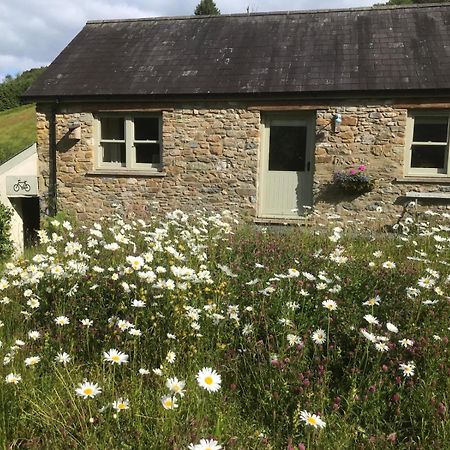 Danygraig Cottage Carmarthen Dış mekan fotoğraf
