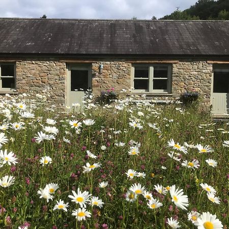 Danygraig Cottage Carmarthen Dış mekan fotoğraf