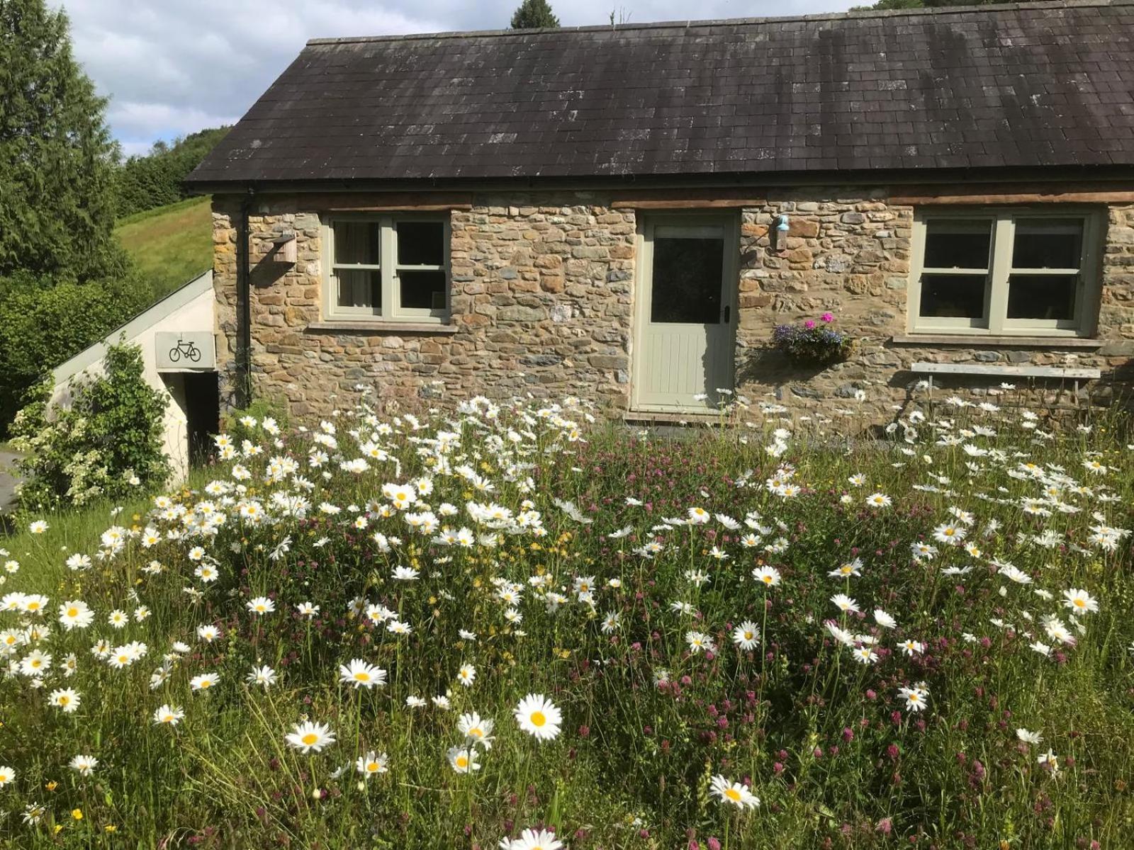 Danygraig Cottage Carmarthen Dış mekan fotoğraf
