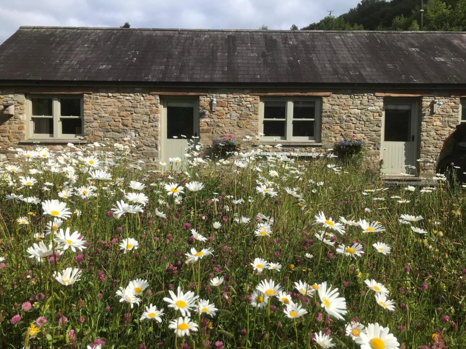 Danygraig Cottage Carmarthen Dış mekan fotoğraf