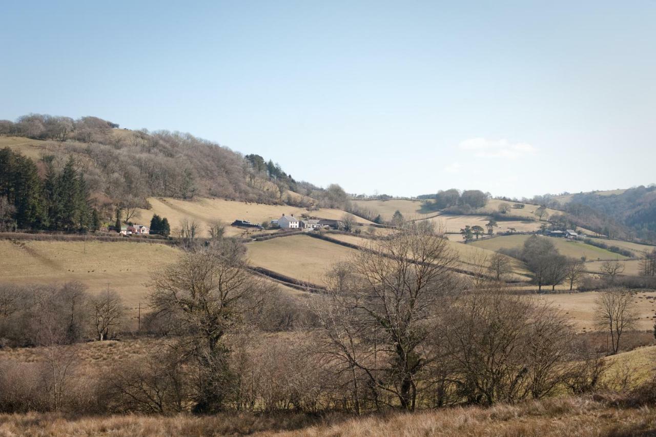 Danygraig Cottage Carmarthen Dış mekan fotoğraf